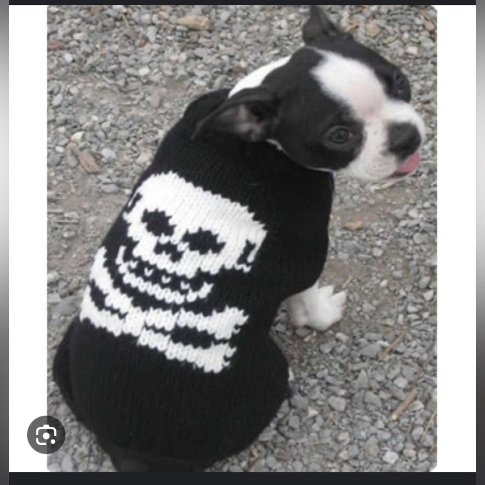 Skull Dog Sweater